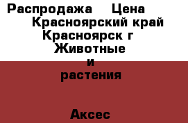 Распродажа! › Цена ­ 1 200 - Красноярский край, Красноярск г. Животные и растения » Аксесcуары и товары для животных   